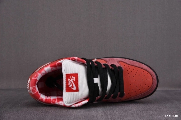 313170-661 Low Lobster SB Nike Concepts Dunk Red 0909